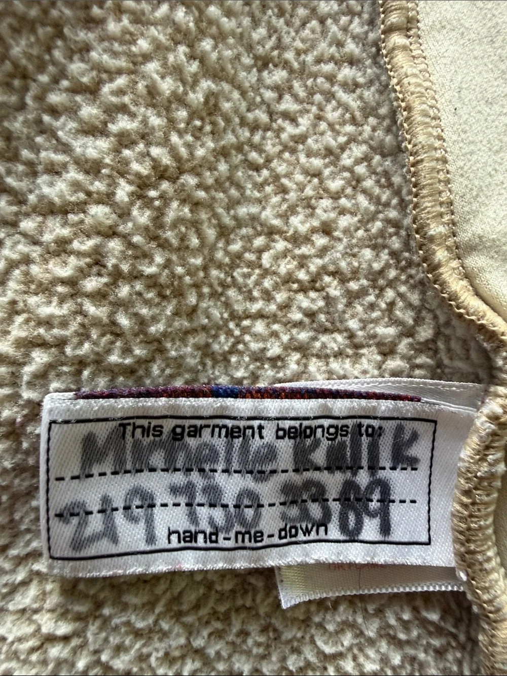 Patagonia Hooded Teddy Fleece Jacket in Light Taupe